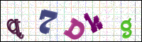 Image Verification
