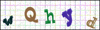 Image Verification