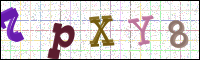 Image Verification