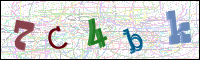 Image Verification