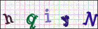 Image Verification
