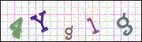Image Verification