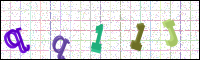 Image Verification