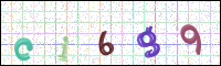 Image Verification