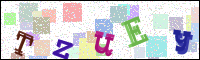 Image Verification