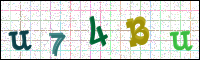 Image Verification