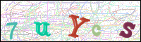 Image Verification