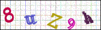 Image Verification