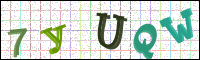 Image Verification