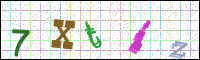 Image Verification