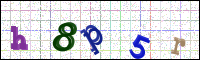 Image Verification