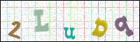 Image Verification