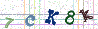 Image Verification
