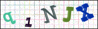 Image Verification