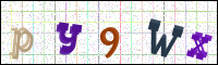 Image Verification