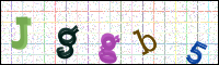 Image Verification