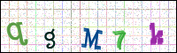Image Verification