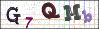 Image Verification