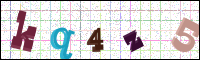 Image Verification