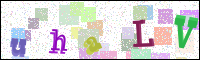 Image Verification
