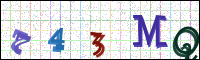 Image Verification