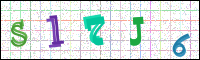 Image Verification
