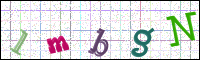Image Verification