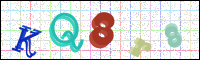 Image Verification