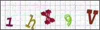 Image Verification