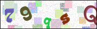 Image Verification