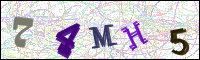 Image Verification
