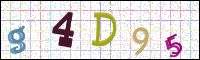 Image Verification