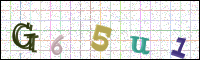 Image Verification