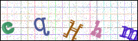 Image Verification