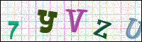 Image Verification