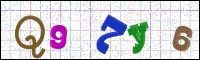 Image Verification