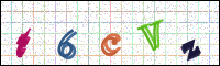 Image Verification