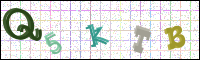 Image Verification