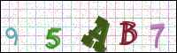 Image Verification