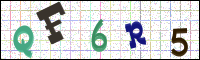 Image Verification