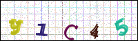 Image Verification