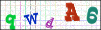 Image Verification