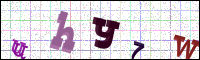 Image Verification