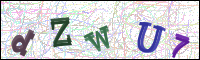 Image Verification