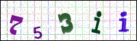 Image Verification