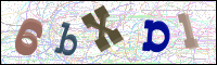 Image Verification