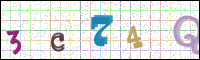 Image Verification