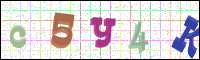Image Verification