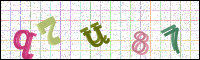Image Verification