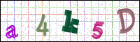 Image Verification